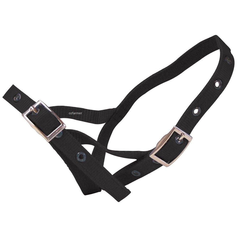 Tethering Halter Nylon Calf