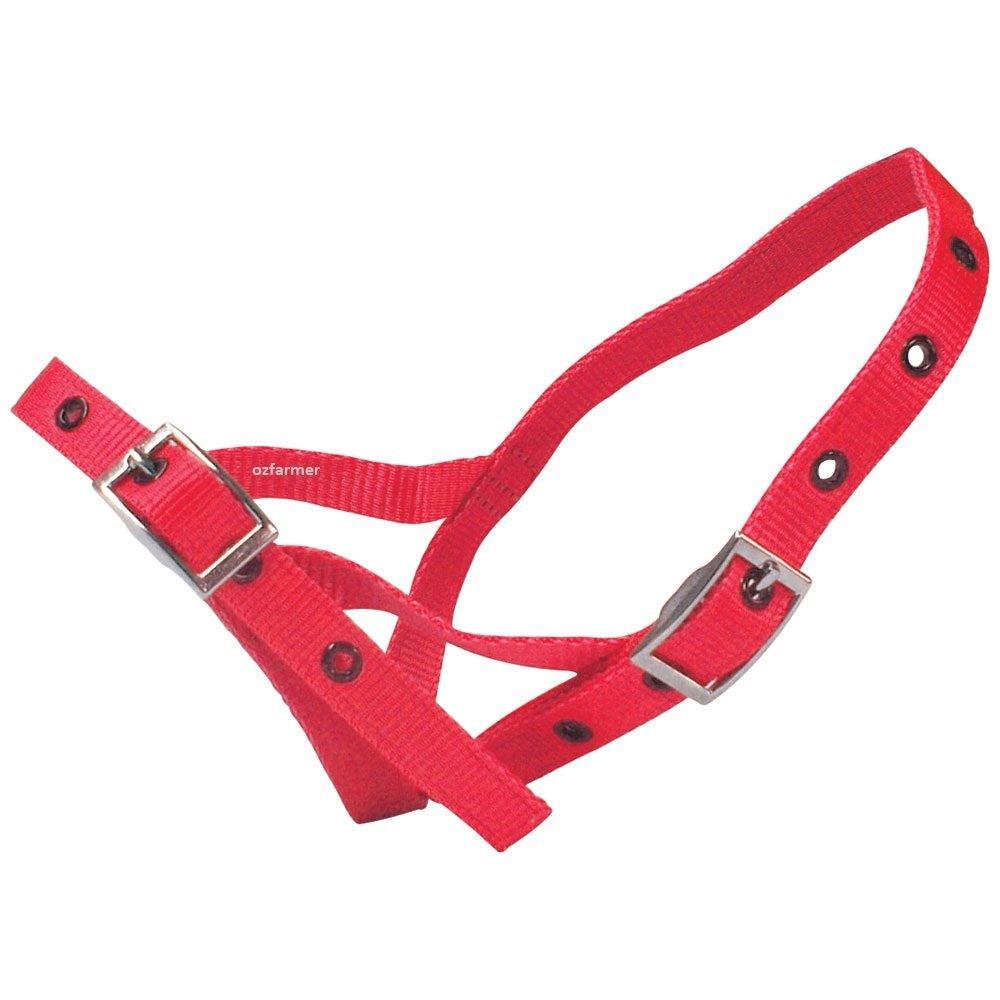 Tethering Halter Nylon Calf