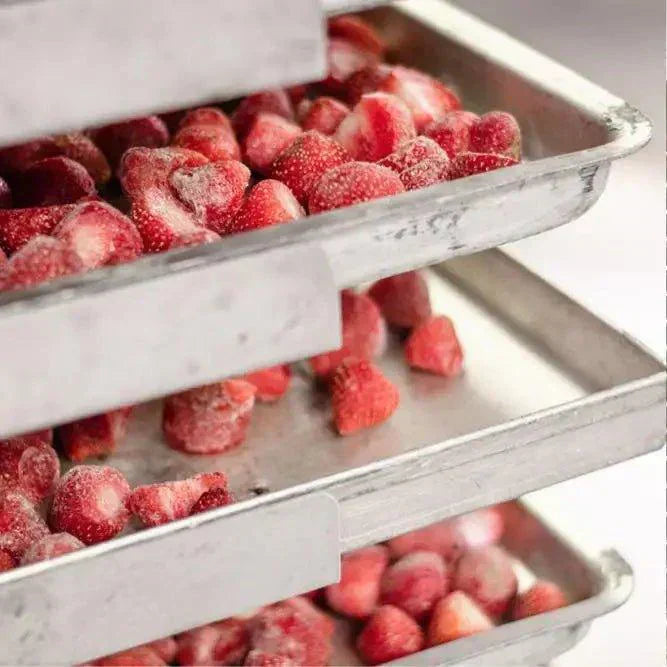 How to use a Harvest Right Freeze Dryer - OzFarmer