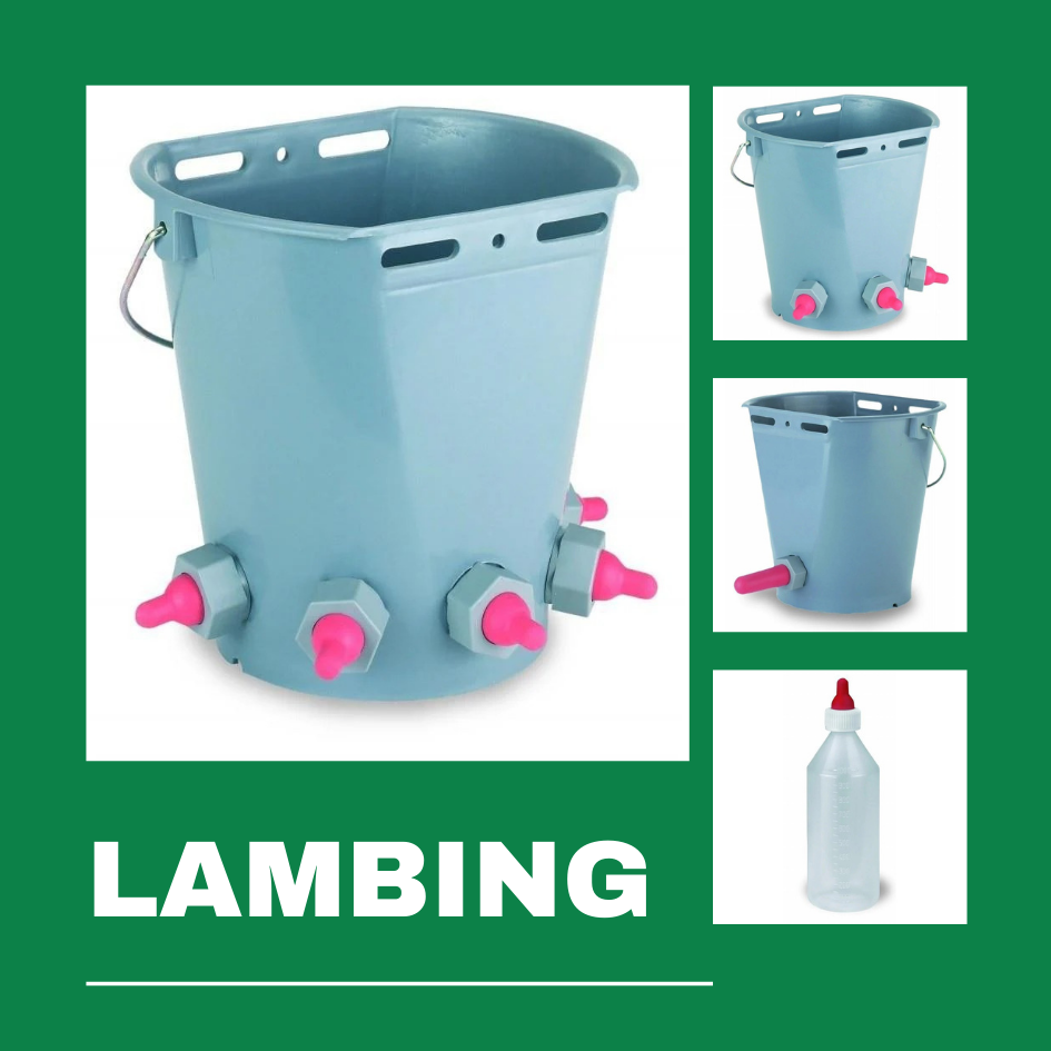 Lambing - Copele