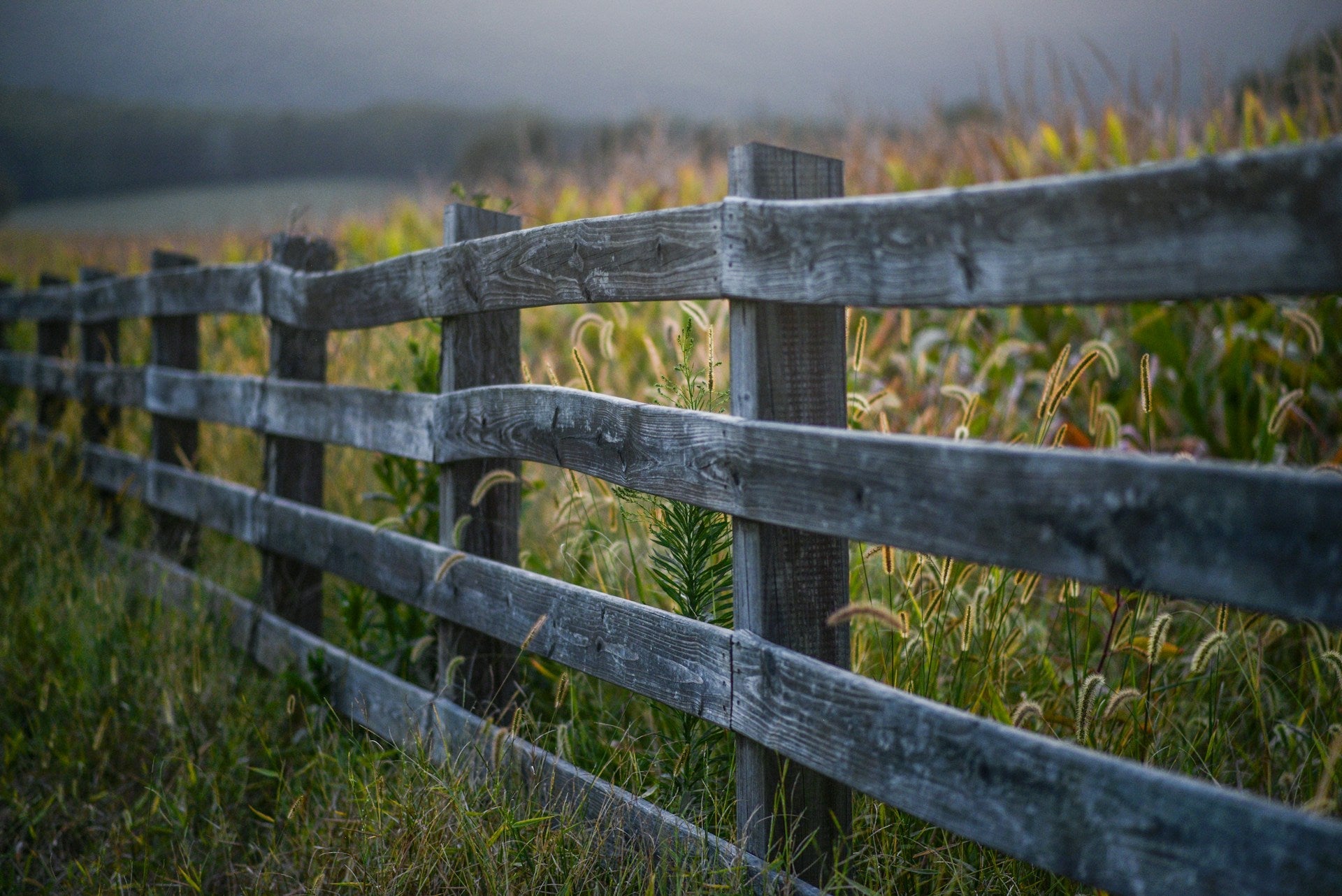 Fencing - OzFarmer