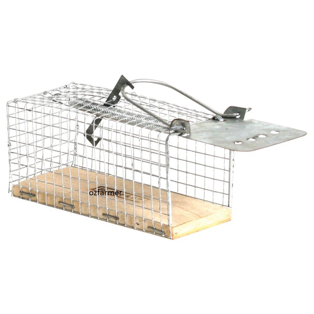 Trap Mouse Cage