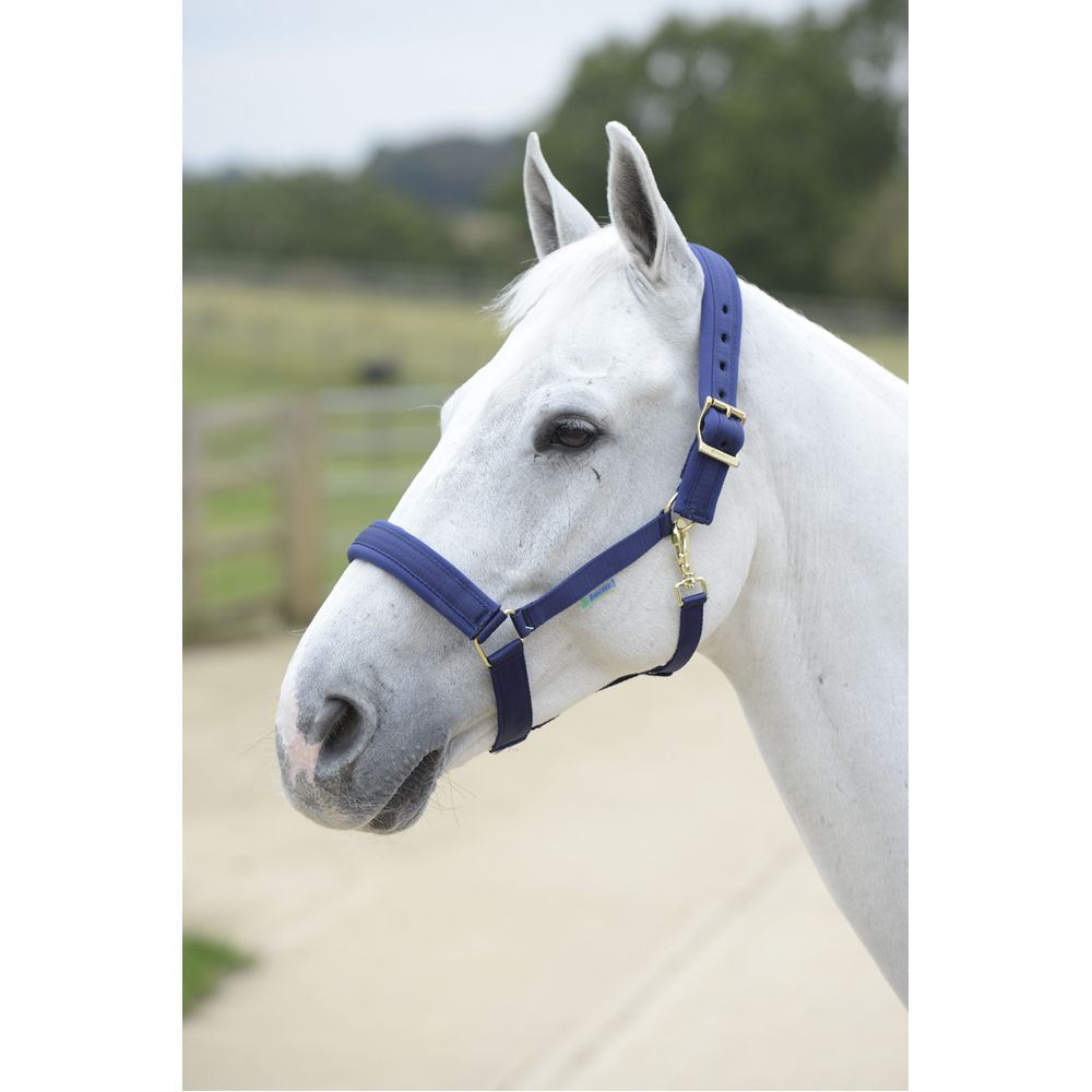 Bucas Comfort Halter Cob Navy/Navy