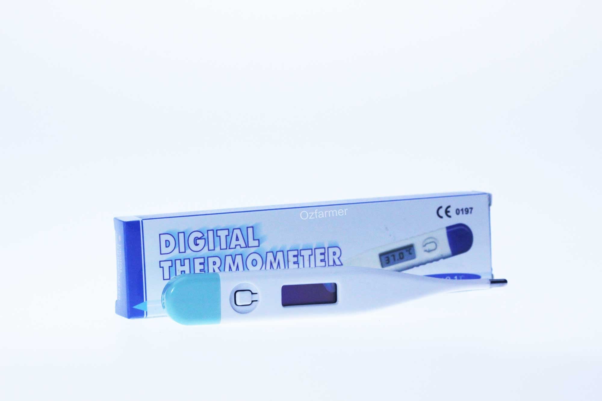 Small animal digital thermometer