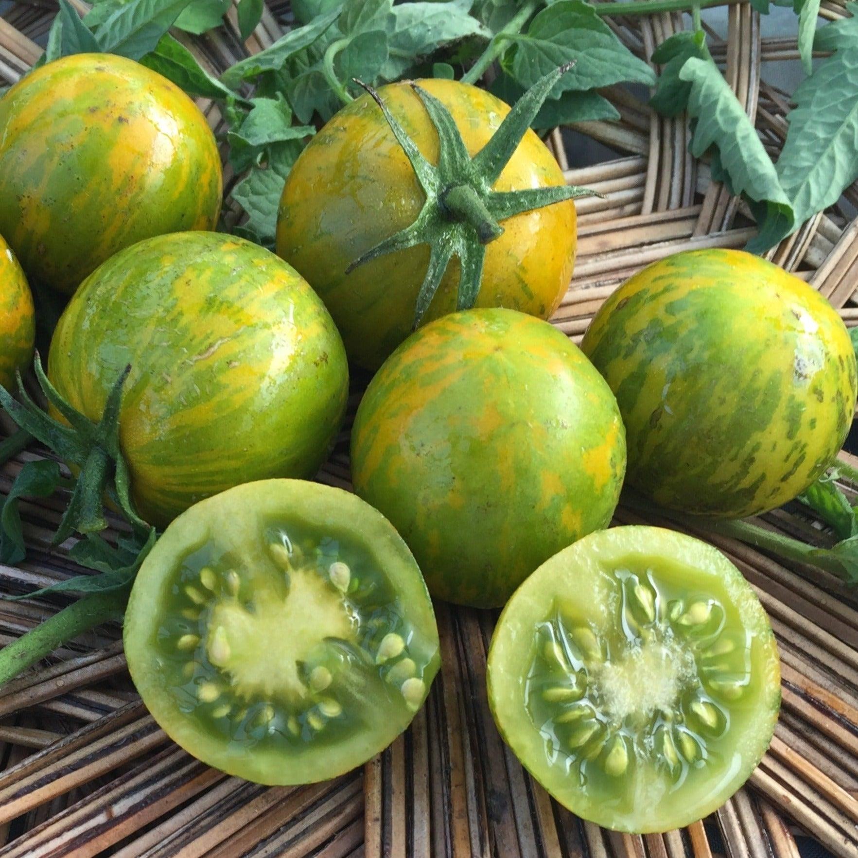 Tomato Green Zebra