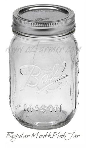 12  x Pint REGULAR Mouth Jar and Lid Ball Mason Case