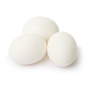 10 x Plastic Fake Brooder Eggs Small / Bantam / Quail size - OzFarmer