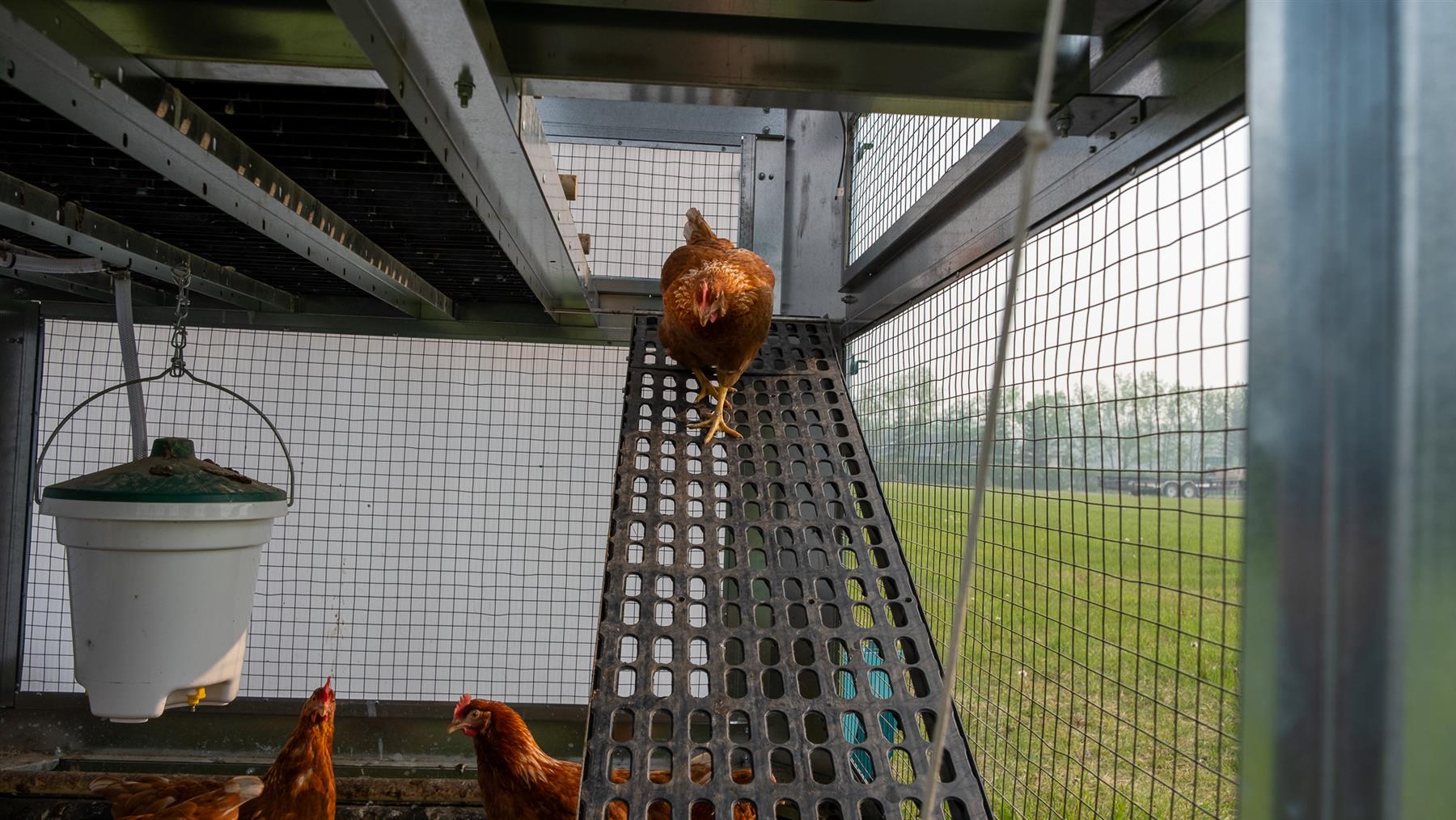 ROVA|BARN Micro – Solar-Powered, Self-Moving Smart Coop for Up to 12 Hens