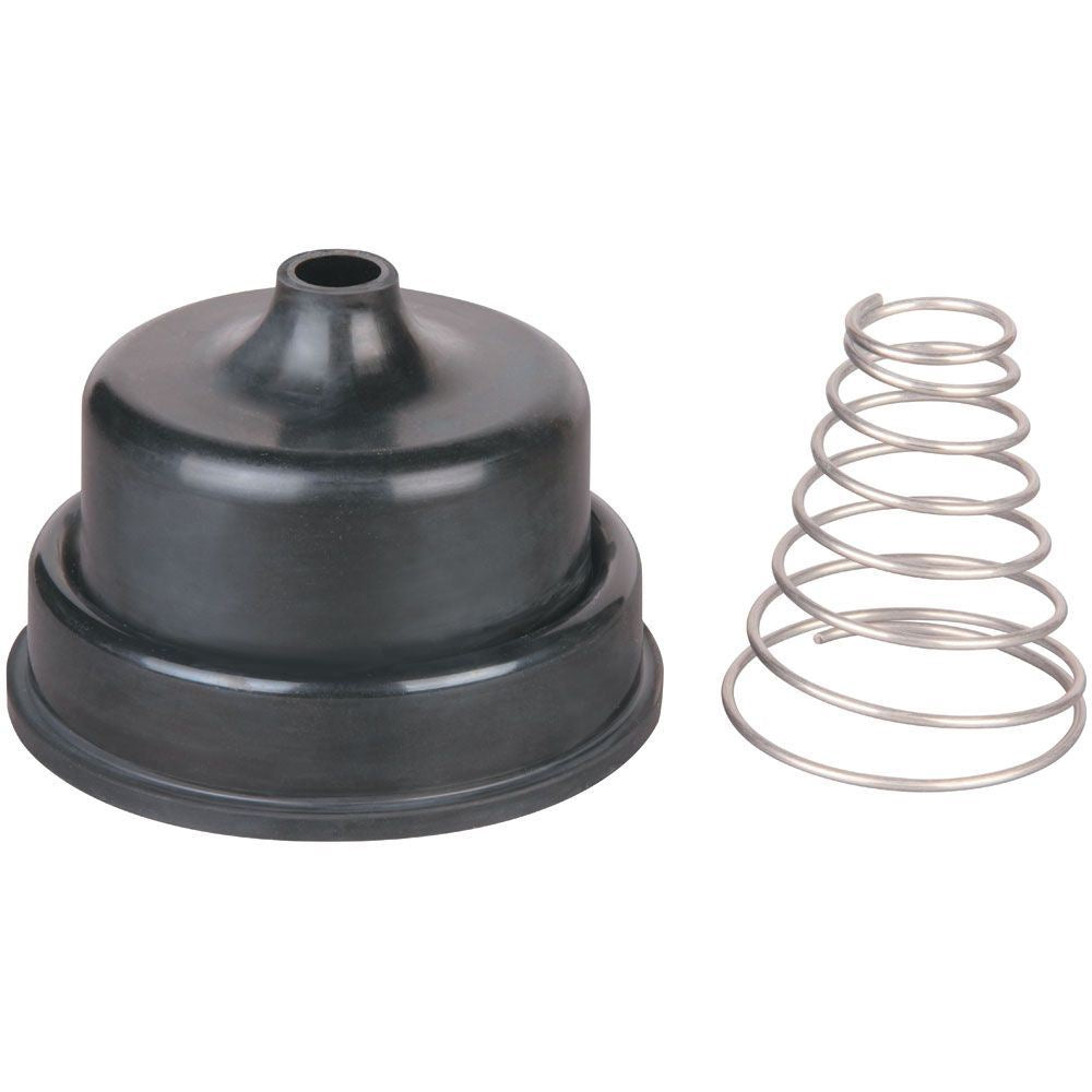 Hansen Valve Repl't Spring & Diaph 50mm
