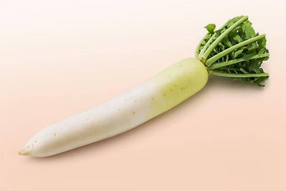 Radish Daikon