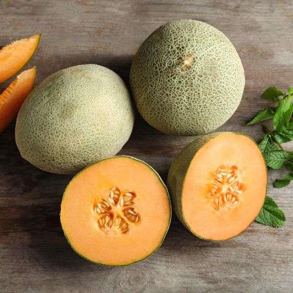 Rockmelon Planters Jumbo