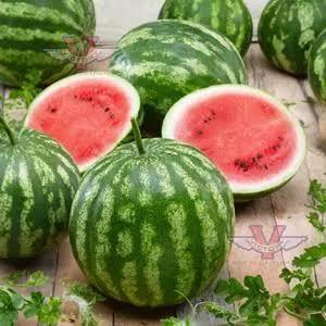 Watermelon Kleckley Sweet