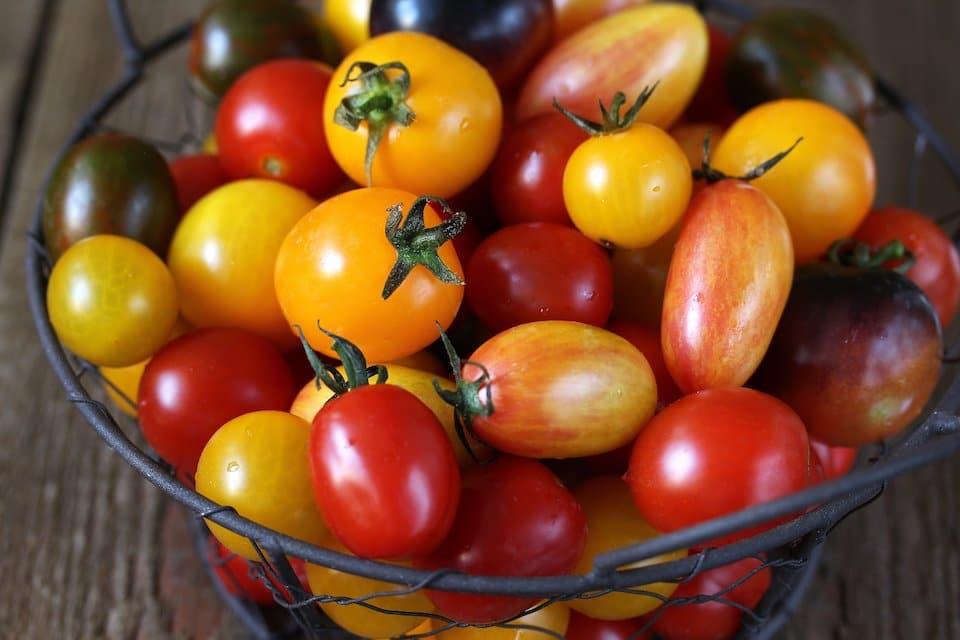 Tomato Rainbow Mix
