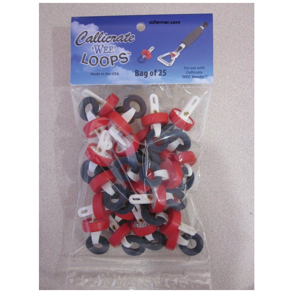 Callicrate WEE Bander Loops 100-pack