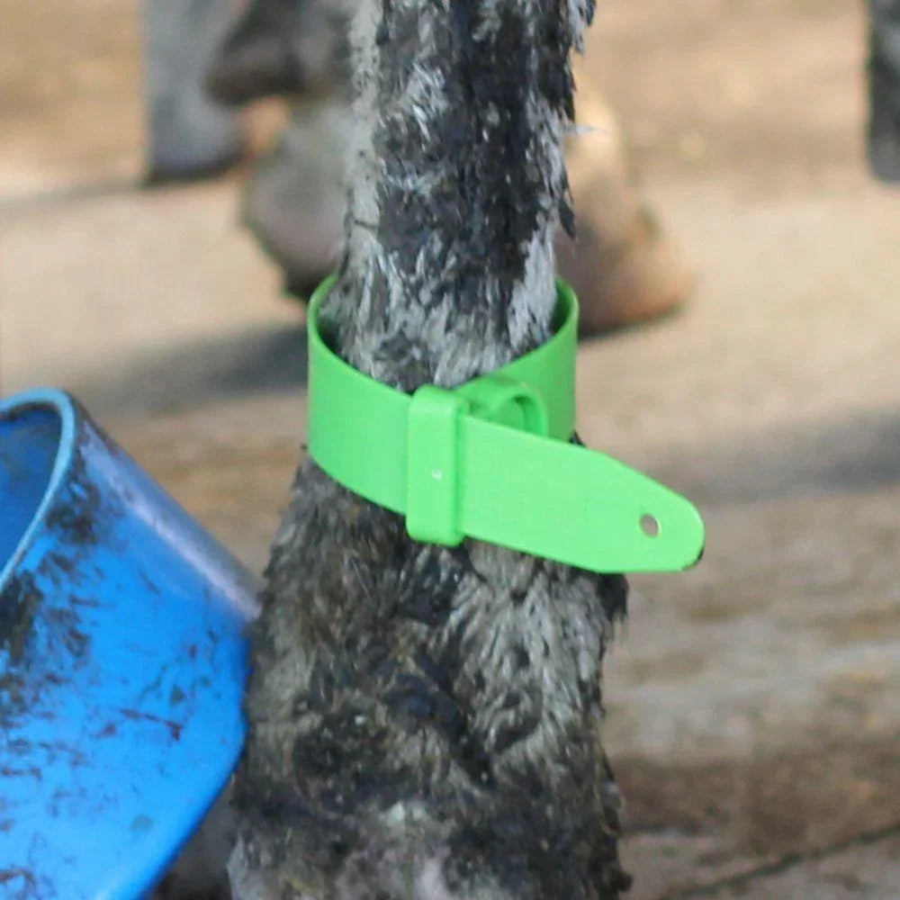 Leg Quick Strap Green 5-Pack