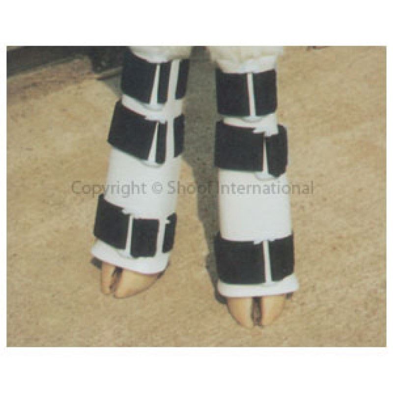 Leg Splint Ozland Calf Pair