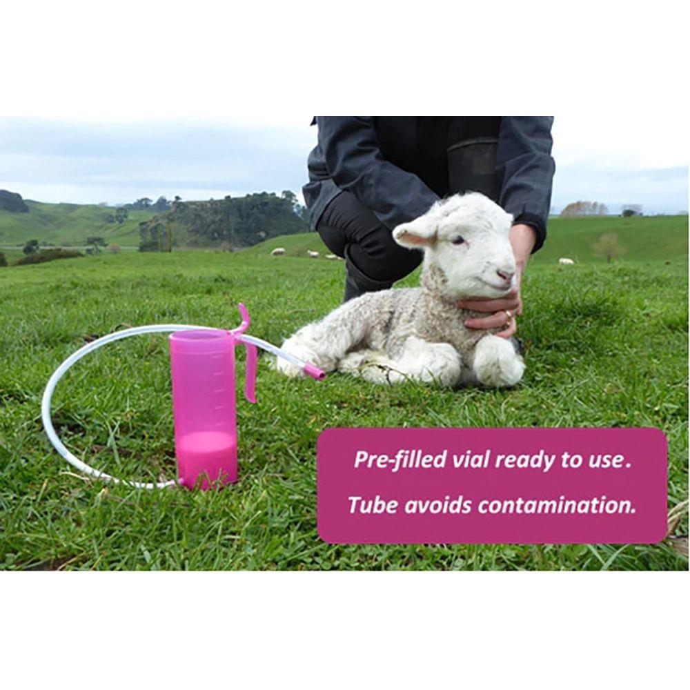 Antahi Trusti Tuber Lambs Kids Fawn