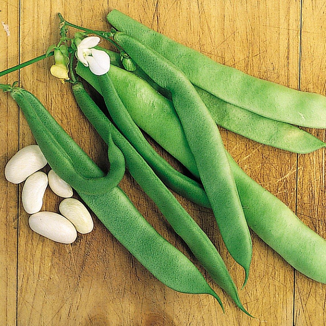 Bean Climbing Blue Lake
