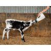 Antahi 4L Nursing Bottle