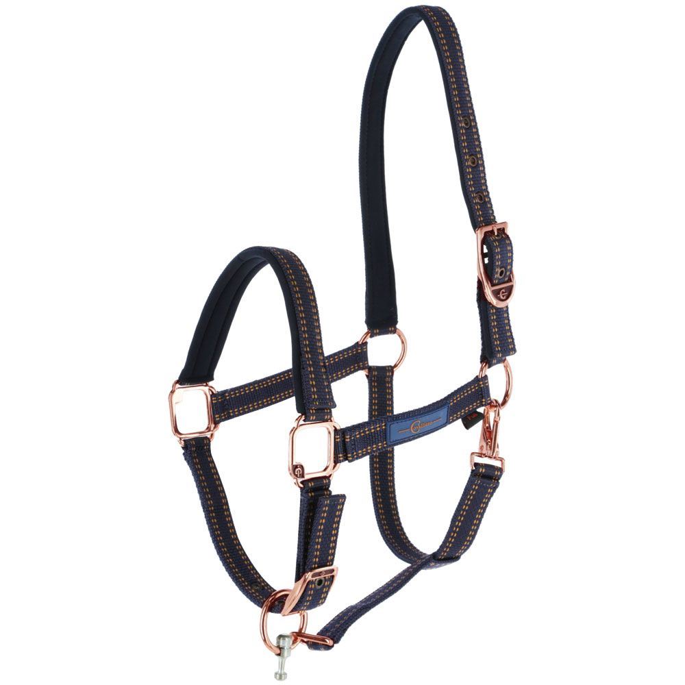 GoLeyGo Horse Halter cpt Sz1 Blue/Cara