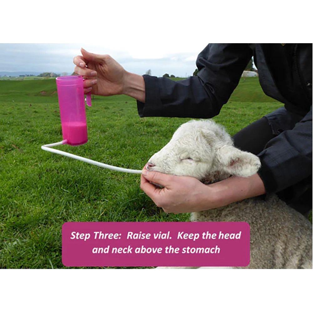 Antahi Trusti Tuber Lambs Kids Fawn