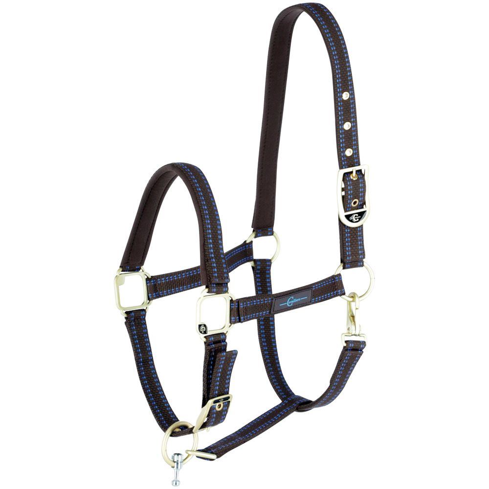 GoLeyGo Horse Halter cpt Sz1 Brown/LBlu