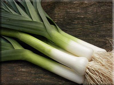 Leek Giant Musselburgh