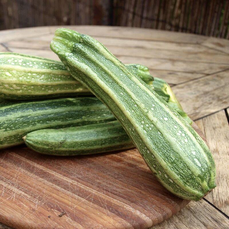 Zucchini Romanesco