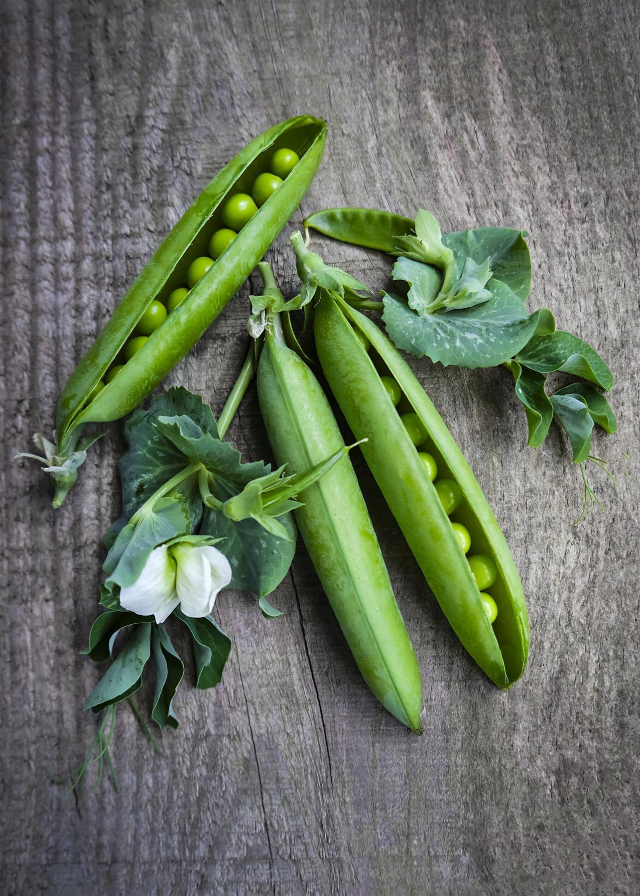 Pea Telephone