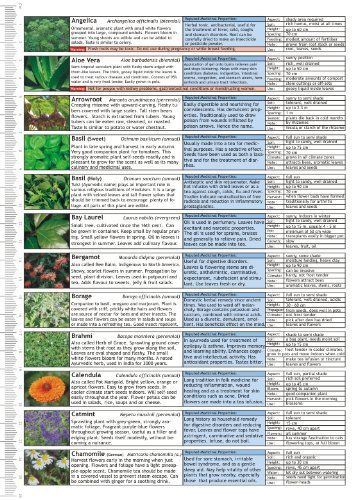 Microgreens Growing Guide - Fold Out Chart