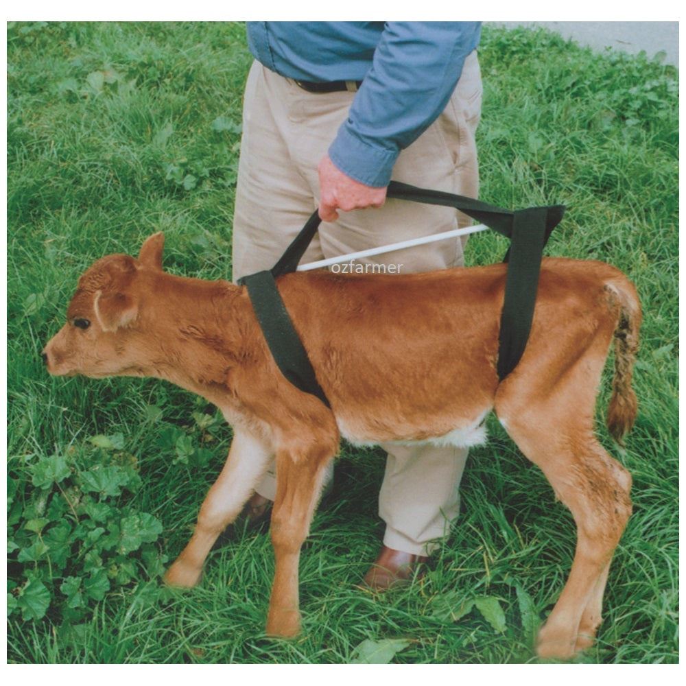 Griffiths Calf Sling