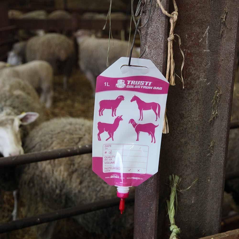 Antahi 1L Trusti Colostrum Bags x 50