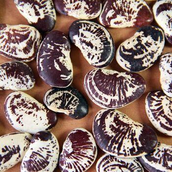 Bean Climbing Madagascar