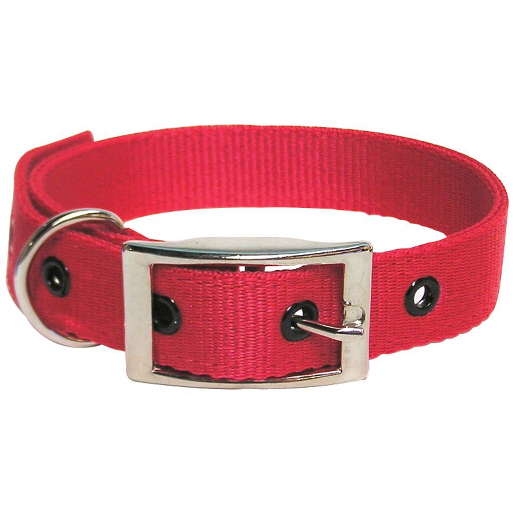 Goat Collar Nylon Doe RED