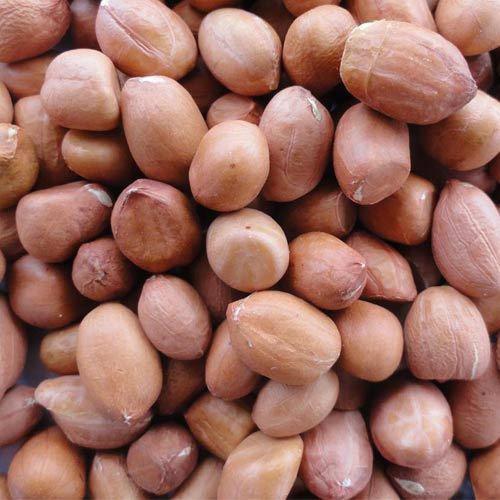 Peanut