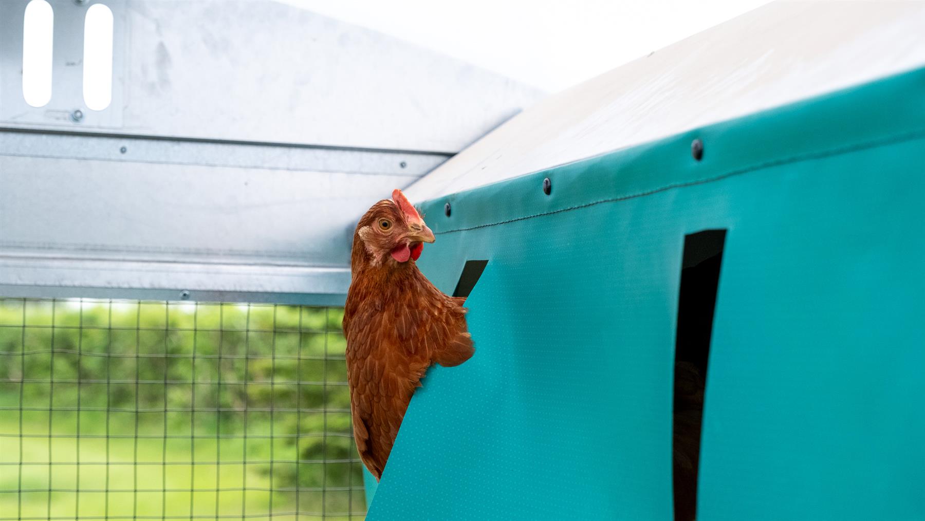 ROVA|BARN Micro – Solar-Powered, Self-Moving Smart Coop for Up to 12 Hens