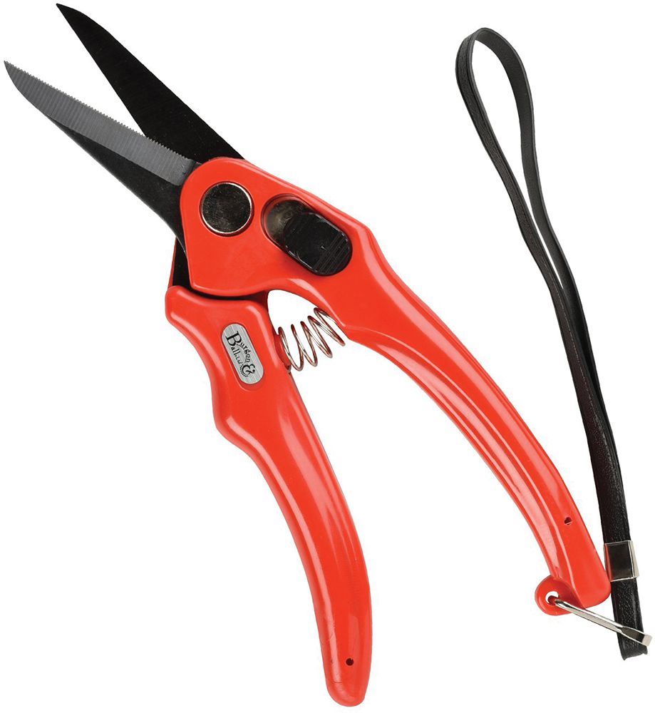 Hoof Shears Burgon and Ball Serrated Blade