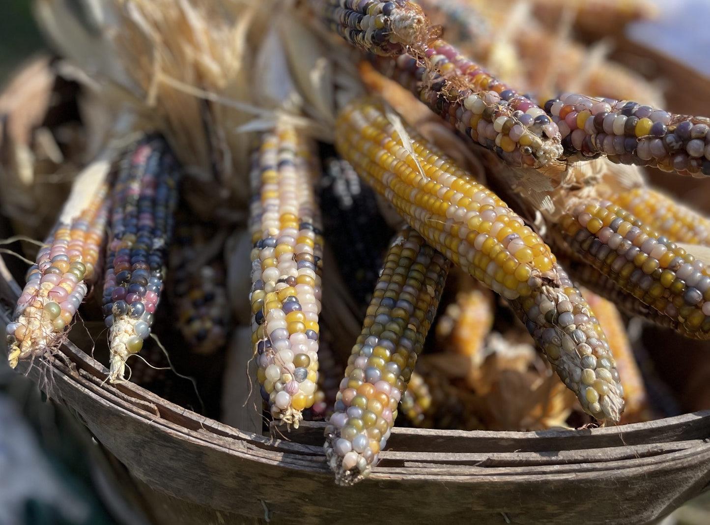 Corn Popcorn Glass Gem
