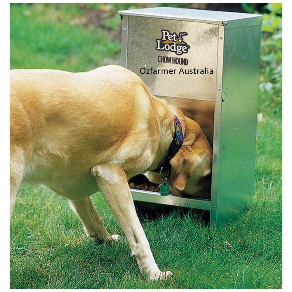 Chow Hound Dog Feeder Holds 22kg