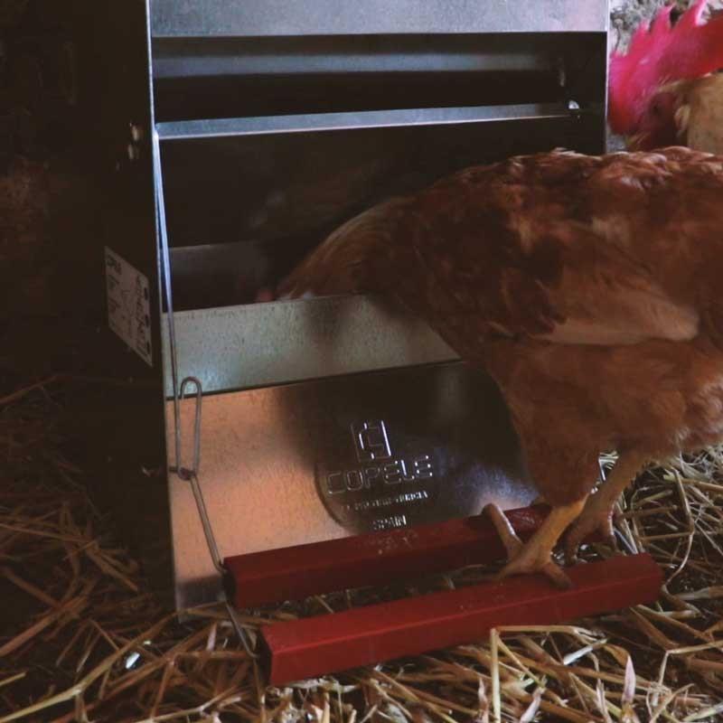 Safeed Automatic Poultry Feeder - 30KG