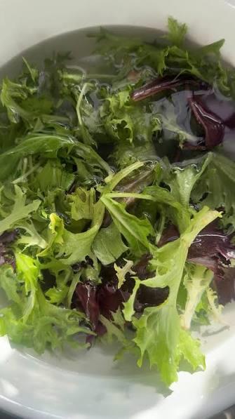 Lettuce Summer Mix