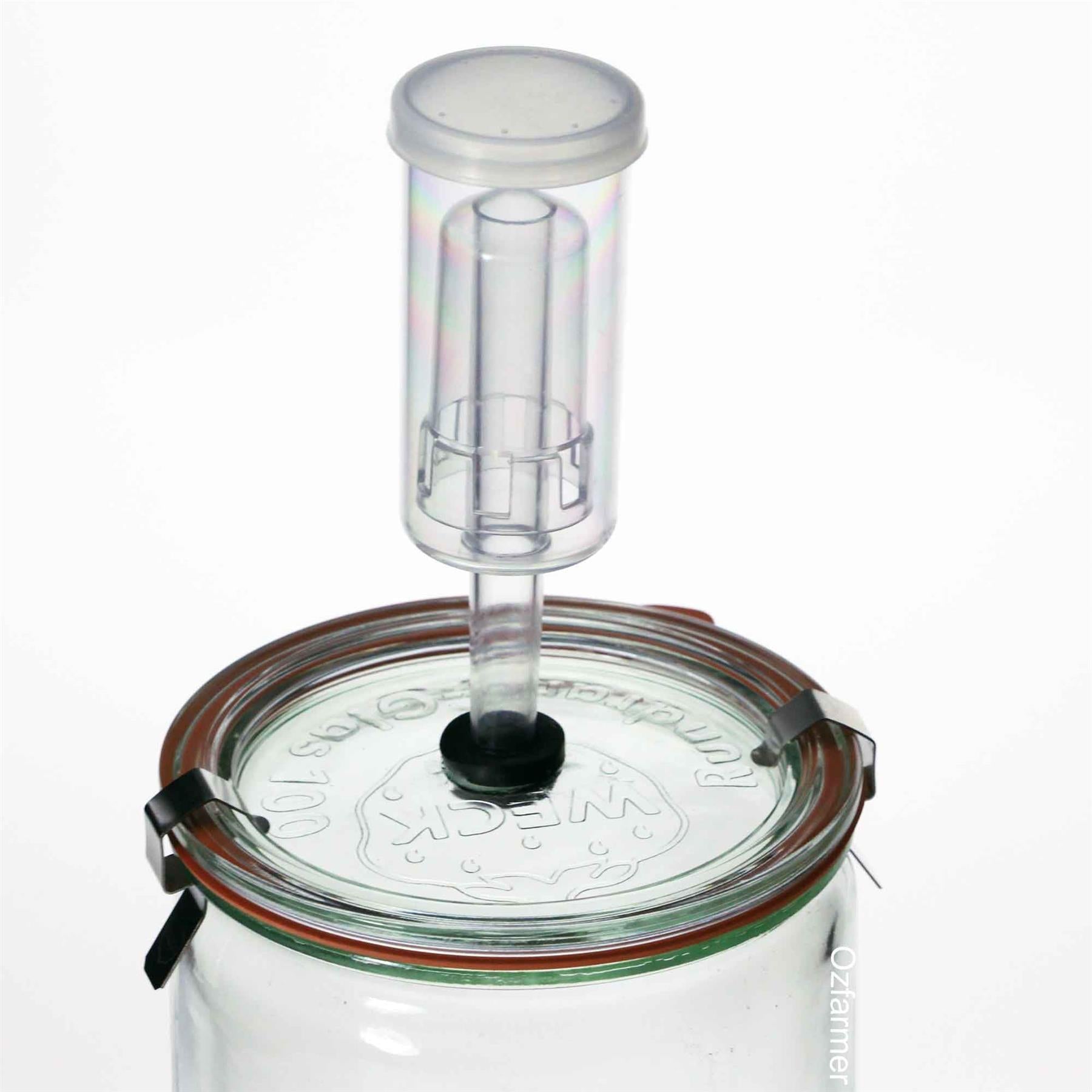 Weck Ferment Bundle