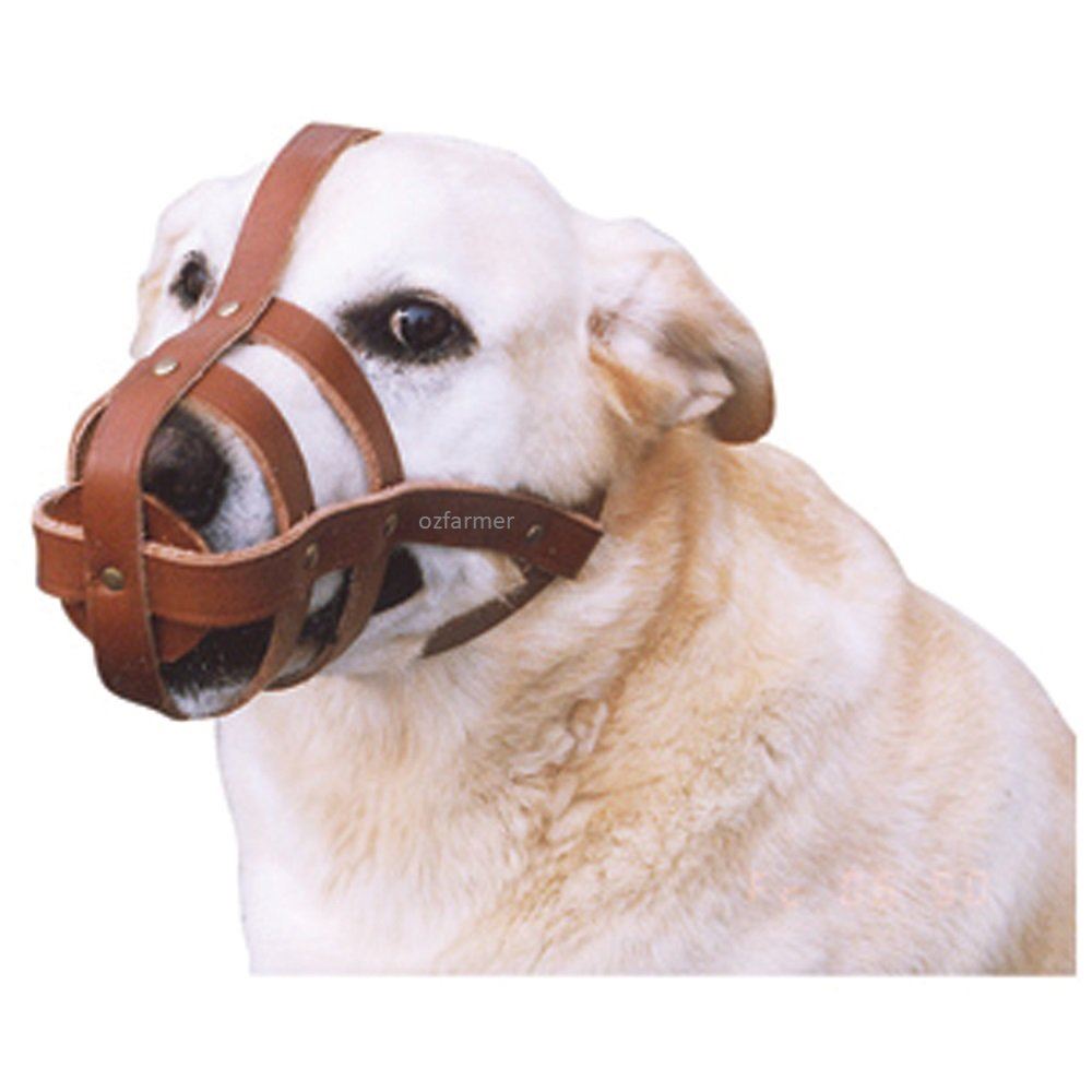 Dog Muzzle Leather