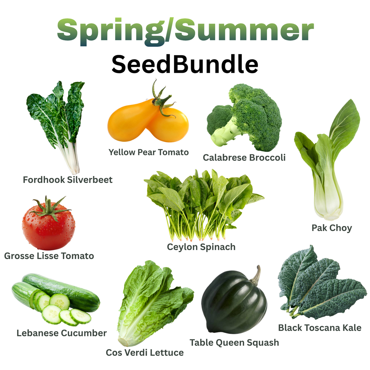 Bulk Seed Bundle Spring/Summer