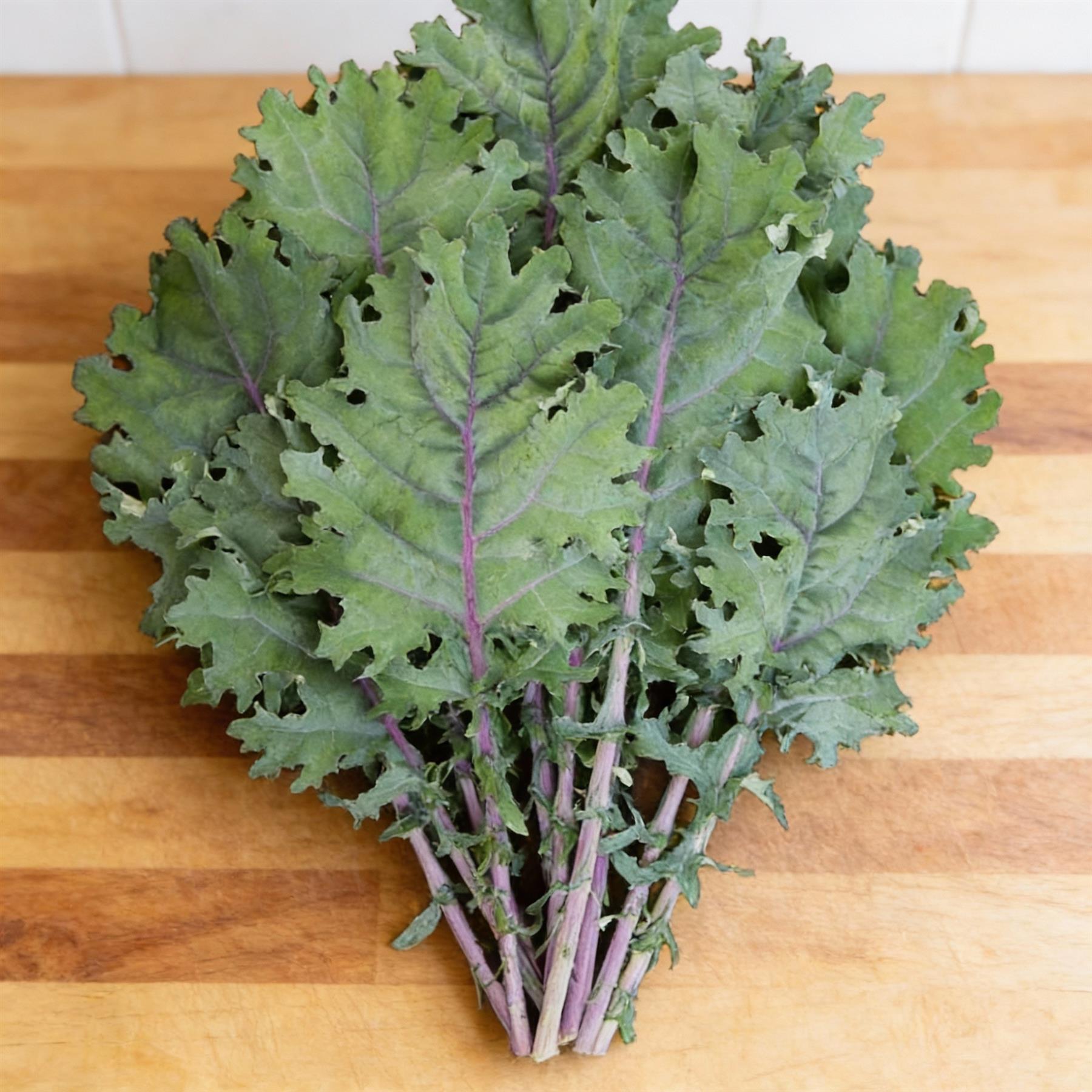 Kale Red Russian