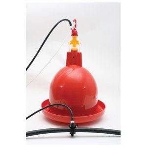 Poultry Automatic Ballast Drinker