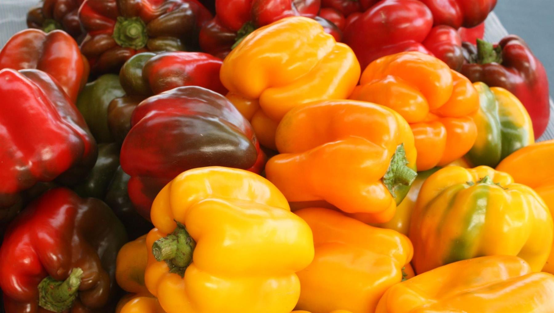 Capsicum Mixed Colours