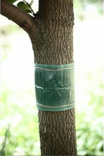 Organic Garden Tree Glue Band 1.75m x 5cm wide