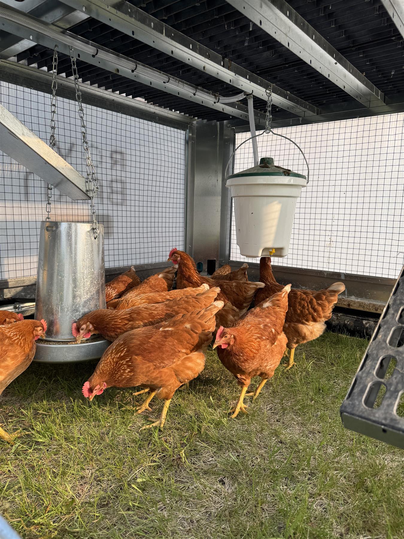 ROVA|BARN Micro – Solar-Powered, Self-Moving Smart Coop for Up to 12 Hens