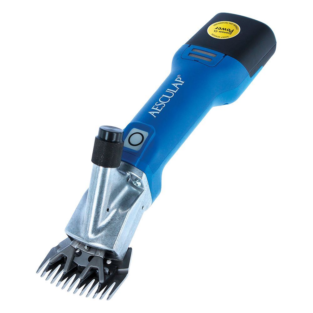 Shearing H'piece Aesc Econom C'less cpt